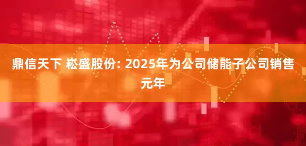 鼎信天下 崧盛股份: 2025年为公司储能子公司销售元年